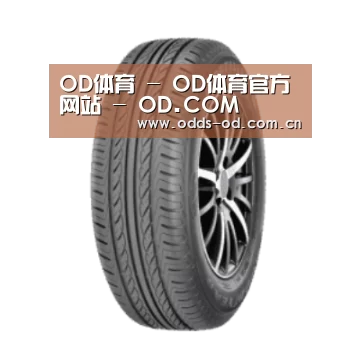 od体育官方入口产品名称六