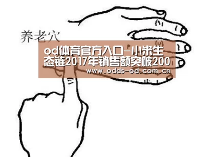 od体育官方入口-小米生态链2017年销售额突破200亿,同比增长100%(图2) od体育下载