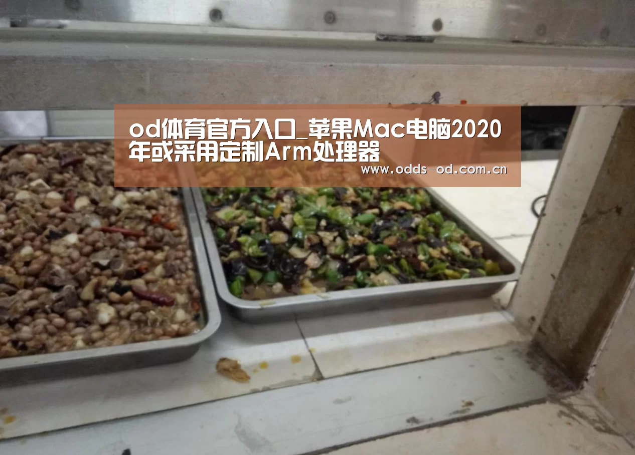 od体育官方入口_苹果Mac电脑2020年或采用定制Arm处理器(图1) od体育官方入口