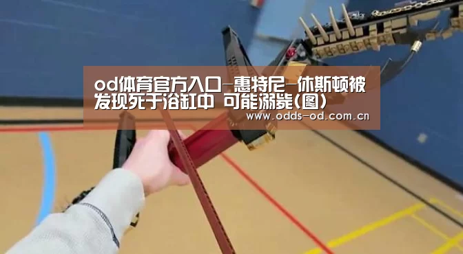 od体育官方入口-惠特尼-休斯顿被发现死于浴缸中 可能溺毙(图)(图2) od体育官方入口