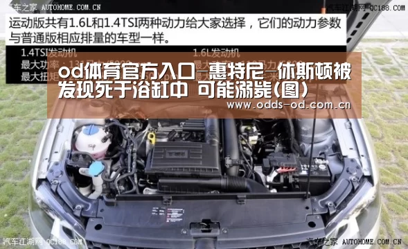 od体育官方入口-惠特尼-休斯顿被发现死于浴缸中 可能溺毙(图)(图1) od体育下载